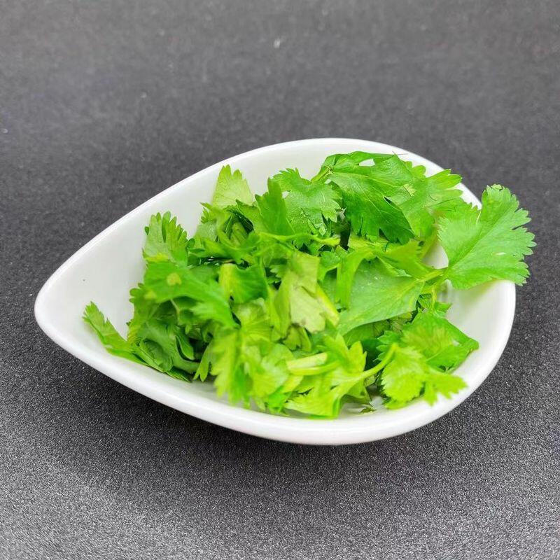 Cilantro 香菜
